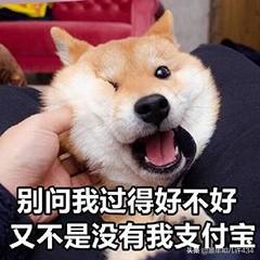 可爱萌宠图片:图片可爱萌萌哒头像 大家有没有什么萌宠表情包？越沙雕越可爱越好？