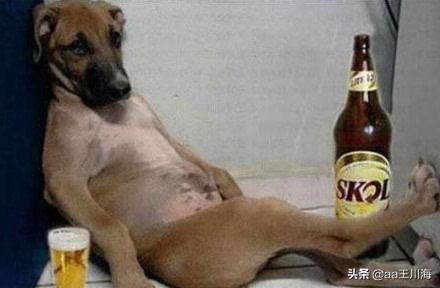 讲一讲进错厕所闹出的笑话,来让我们笑笑吧