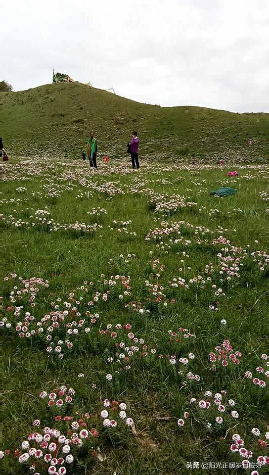 九层妖塔原型古墓:鬼吹灯系列你最喜欢哪一部，还希望哪一部被翻拍成影视作品？