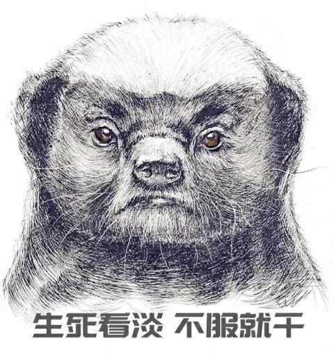 罗小白:为什么《怒睛湘西》中的罗老歪成为了大家最喜爱的角色？
