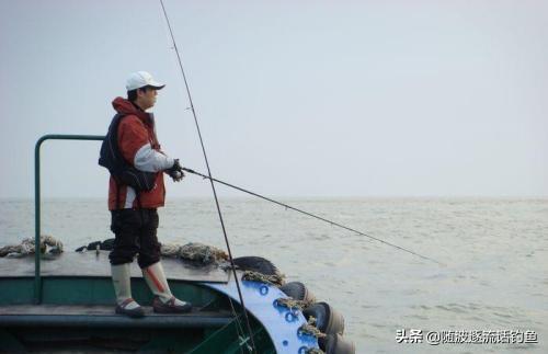 半米长的海鱼都有哪些图片:海钓鲈鱼什么时候最好？为何？