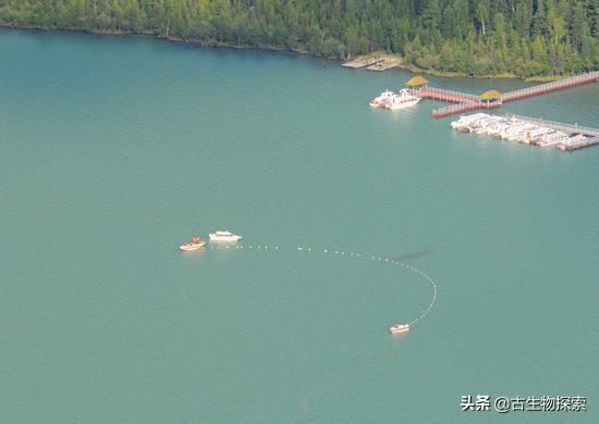 猎塔湖水怪之谜终于得解:四川猎塔湖水怪之谜1 喀纳斯湖大红鱼捕捞不住吗？具体如何？