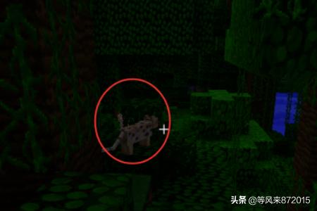野猫驯养法txt资源:Minecraft我的世界野猫怎么驯服？