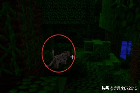 野猫驯养法txt资源:Minecraft我的世界野猫怎么驯服？