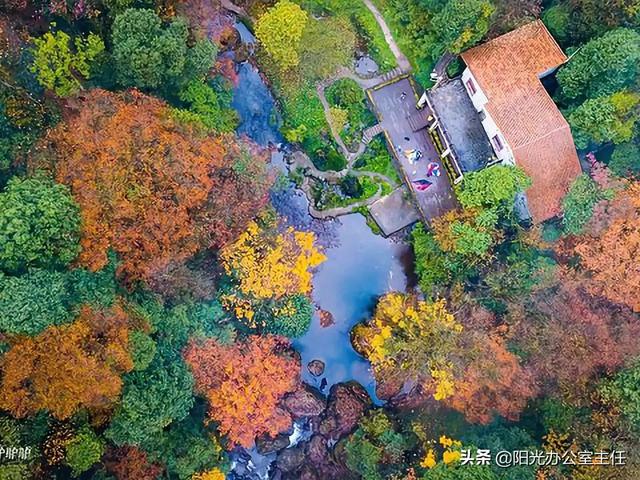 雅女 雅鱼 雅雨:中国宜居城市排名前十位是？