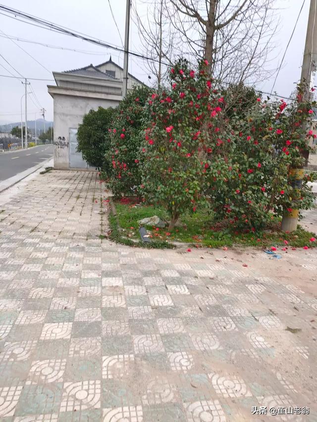 小红书几点发比较容易热门