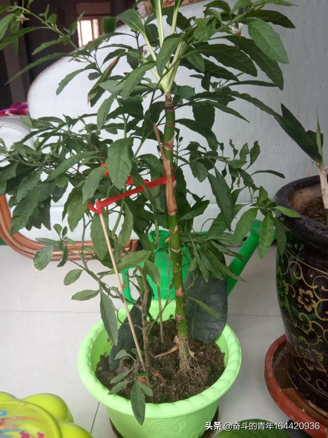 敢不敢晒一晒你18岁的照片和现在的对比照？不要美颜和浓妆的哦？