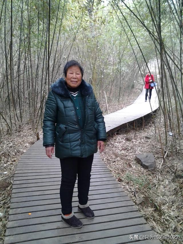 “活埋生母”的马某,不一样的观点认为能理解,你怎么看？