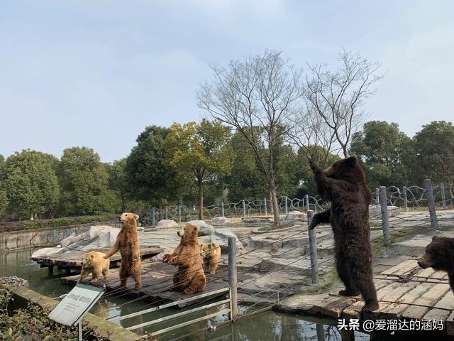 春节江苏自驾游线路:过年想从芜湖去江苏自驾游三天，有什么好的地方推荐？