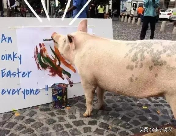 定西地震惊现狗坚强:有哪些曾造成恐慌的犯人？