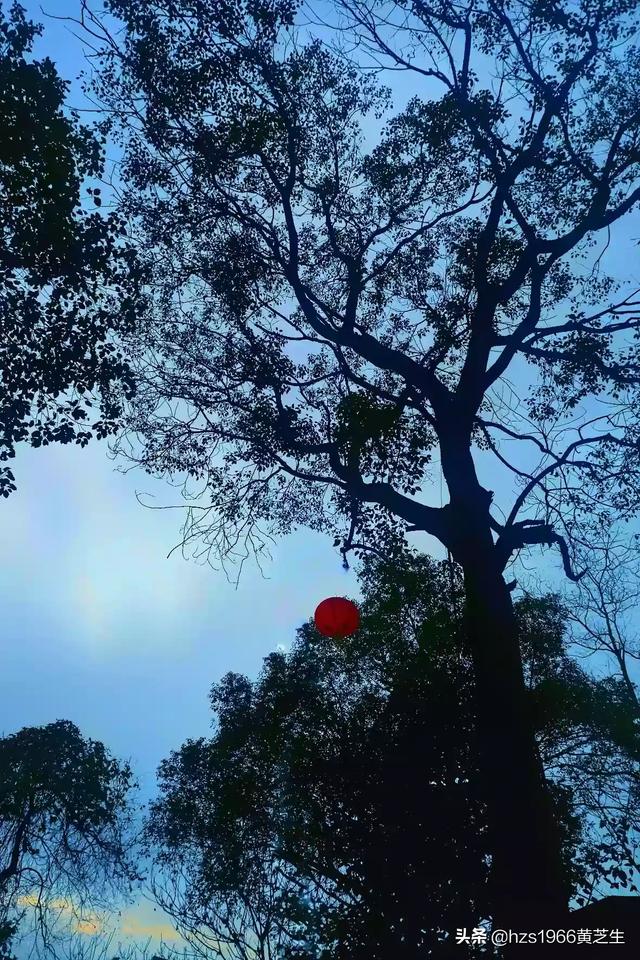 你拍过的山水田园有多美？