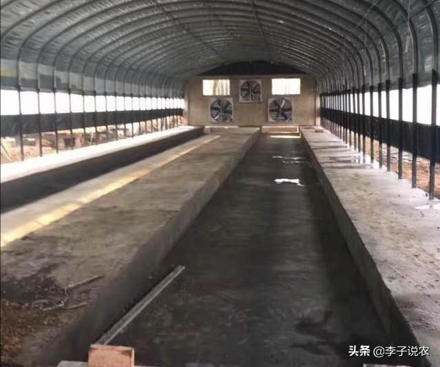 狐狸养殖技术价格:不想打工了，手头上仅有3万元，想回农村做养殖，能养什么？
