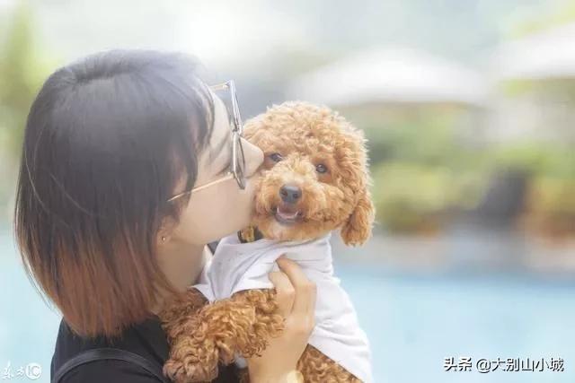 报告狗班长被咬:作为一名警察，被警犬咬过是一种什么样的体验？