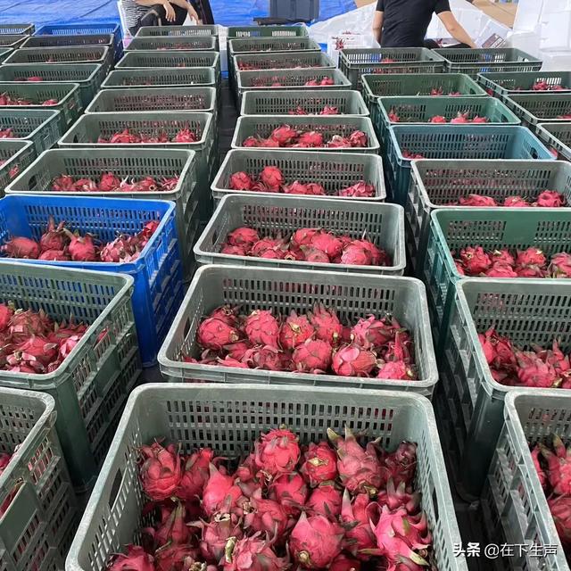 水果电商货源怎么解决？