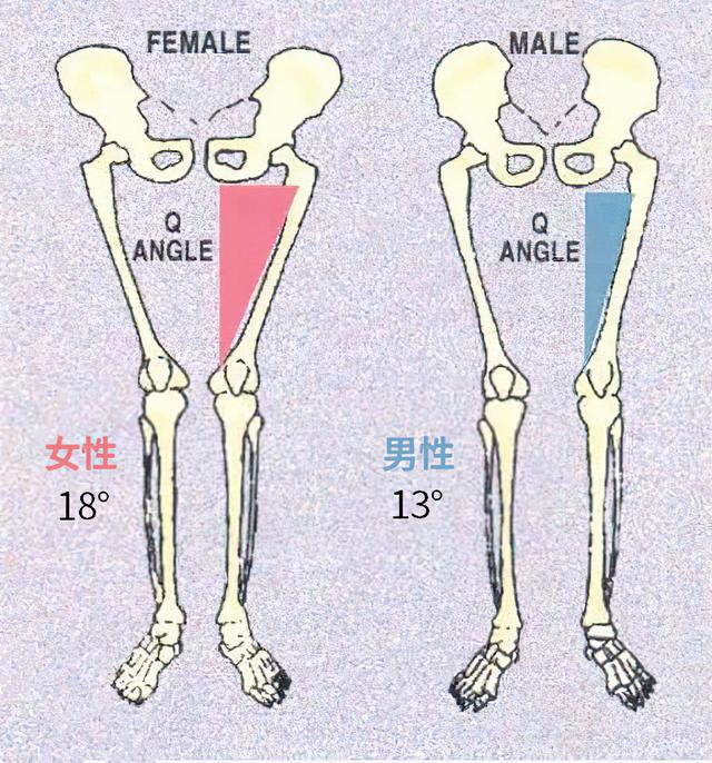 女性绝经后需要长期补钙吗，五十岁例假正常，膝盖隐隐酸疼缺钙还是雌激素下降，吃什么改善