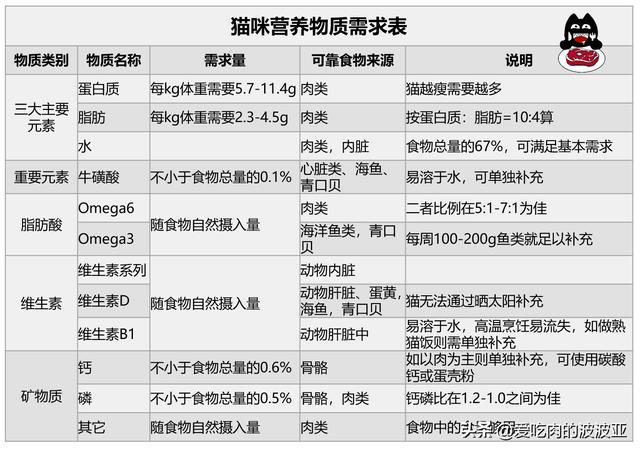 小猫吃什么:哪些食物是猫咪最爱吃的？ 小猫吃什么食物