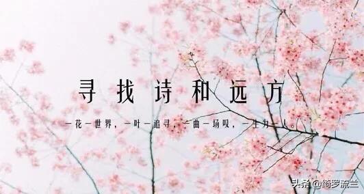 除了,除了好好学习有什么别的出路？