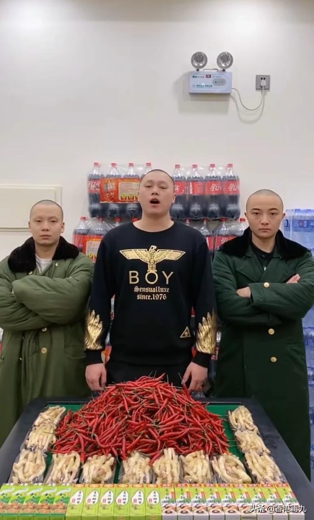 深圳狗狗网红:深圳狗狗网论坛 柯基犬为什么能够成为“网红狗”？有什么魅力所在？