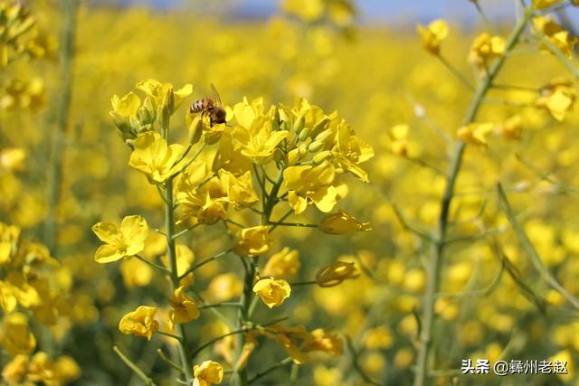 3月份的节日:3月份的节日有哪些