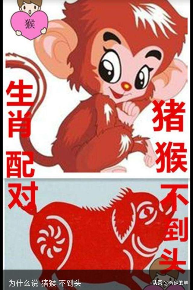 男羊和叟猴女吵架总说爱咋想咋想:属羊男和属猴女的婚姻如何？
