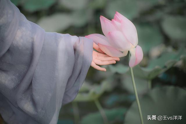 北方的金丝雀在线观看第395集:在情感中，怎样驾驭、降服女人？