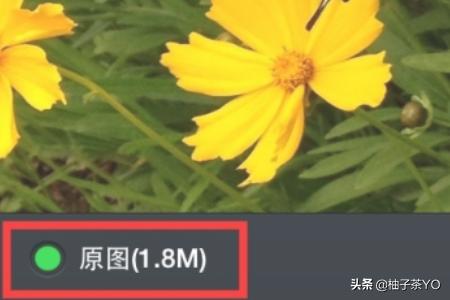 微信怎么发送原图照片:如何使用微信发未压缩的大图片（原图）？
