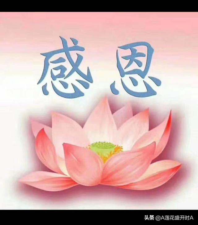 头条问答 - 什么样的人适合出家?(78152的回答,0赞)