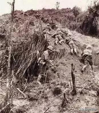 战场上能一直活着的老兵真的只是运气吗？插图39