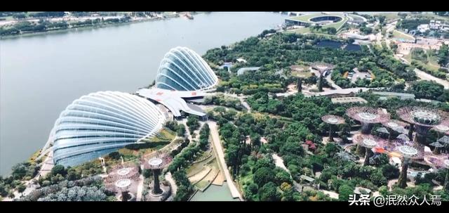 新加坡人怎么样:新加坡人怎么样可以微信转账中国吗