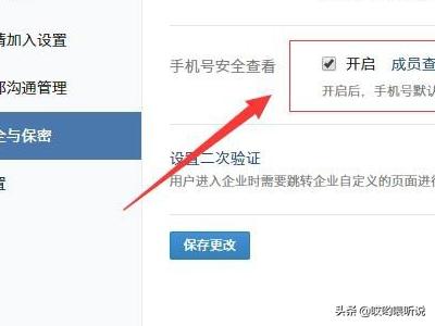 企业微信怎样开启手机号安全查看功能