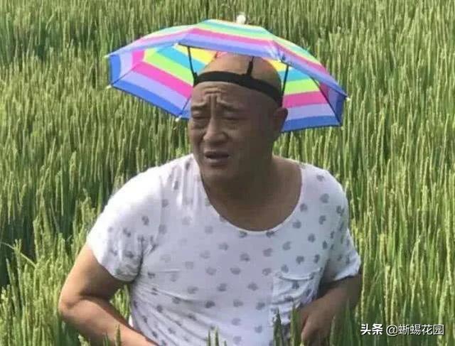 杨光的夏天生活:你觉得《乡村爱情》和《杨光的快乐生活》哪个好看，为什么