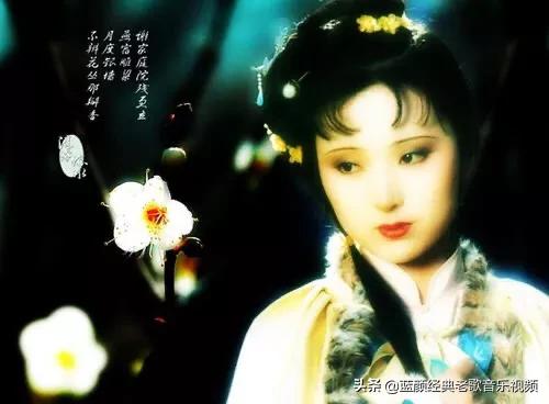 玉的品质精神,《红楼梦》歌颂了主人公什么的精神？