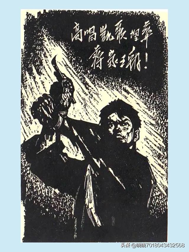 王菁个人资料:还记得你看过最让你印象深刻的小说么