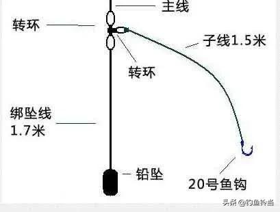 深海喂食者钓鱼团:海鱼打底钓鱼怎么配钓组？
