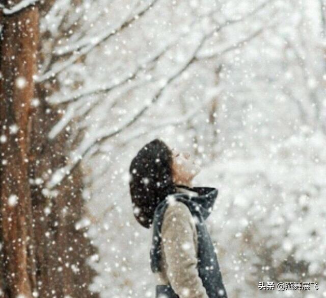 有哪些写雨和雪的诗和句子让你印象深刻？