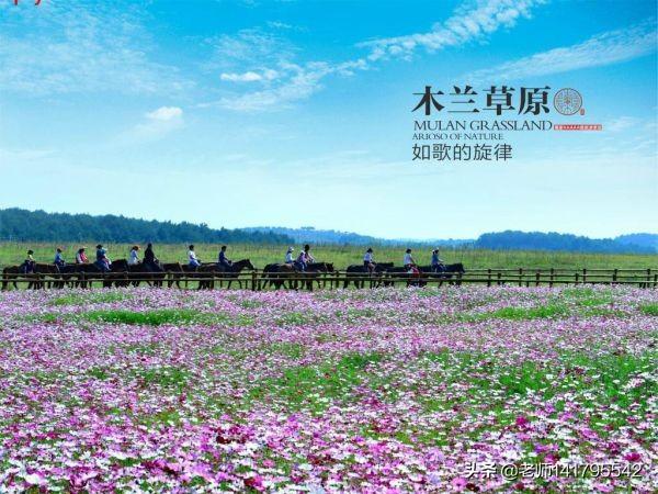 胡皓康:你从“印度孩子举拖鞋照片”这张照片中，看到了什么