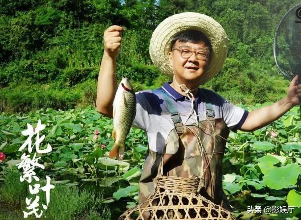 詹小楠:如何评价由王迅、朱墨主演的电视剧《花繁叶茂》？