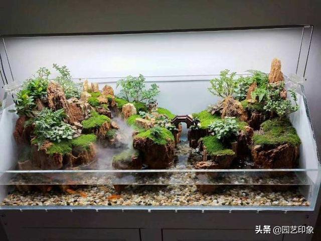 火山石的作用保健作用:深海火山能量石真的那么神奇吗？
