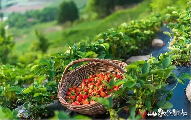 房子的好处都有哪些,住在有田有地，有房子的农村有哪些好处？