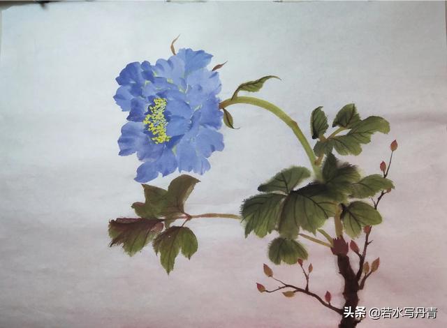 一串红国画画法:【国画教程】迎春花的画法？