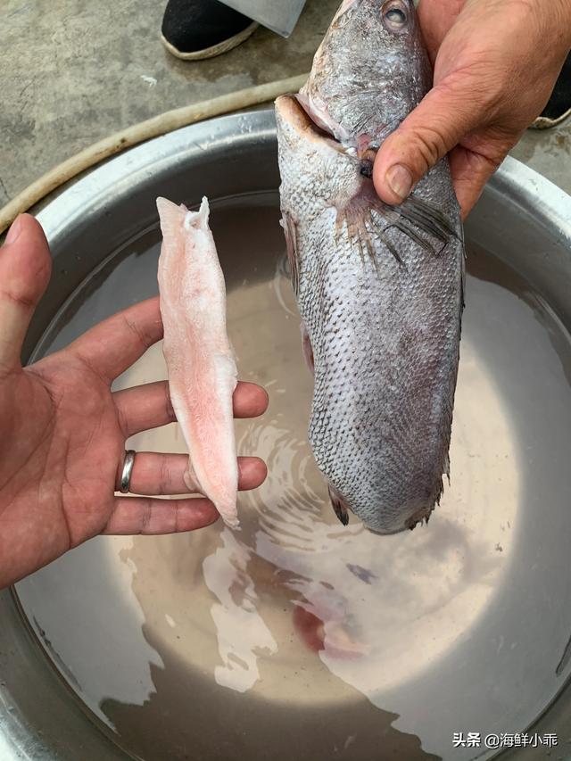 头条问答 黄花鱼里面白色像肉的能吃吗 海鲜小乖的回答 0赞