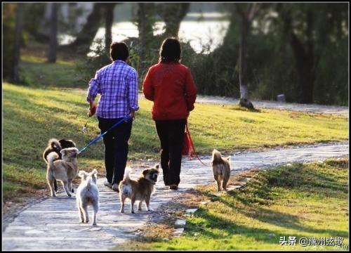 邻居欺负我,咱心善,不敢打架,该怎么报复？