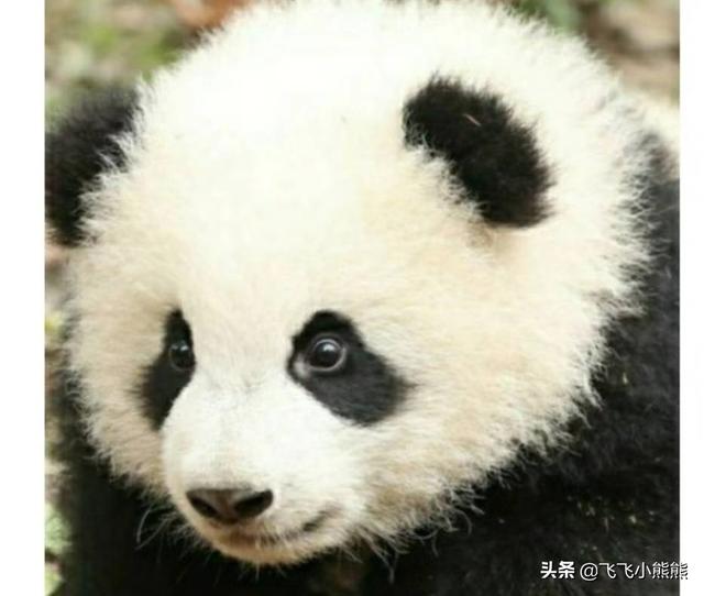 各位:你用的头像是啥啊？能不能说说用这个头像的寓意是什么啊？