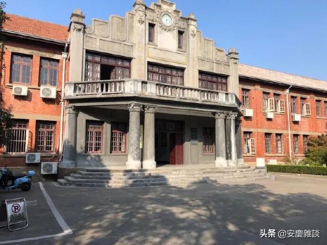 合肥拍摄斑鱼狗:合肥大蜀山发现罕见大蛇，怎么回事？