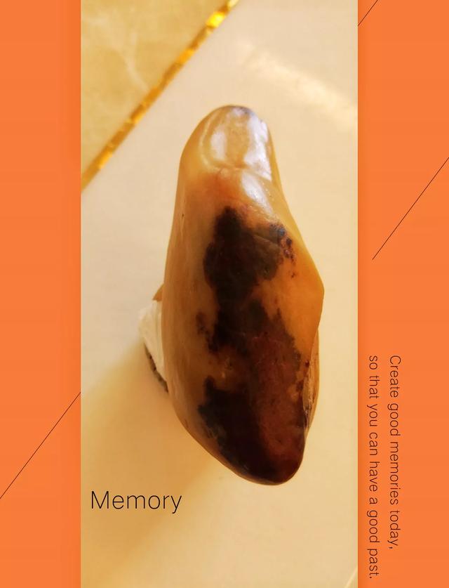 天然大化石原石图片,中国最具影响力的天然奇石有哪些？