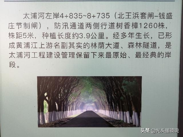 上海衡山路裸拍:上海有什么鲜为人知但很有意思的景点？