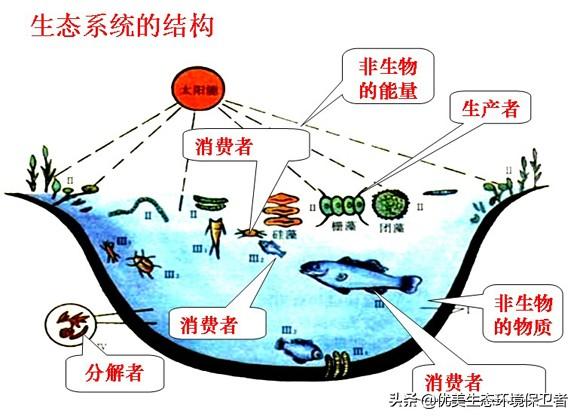 决战动物星球 内容:决战动物星球 宇宙之外是否还存在宇宙？会不会有外星人的存在？