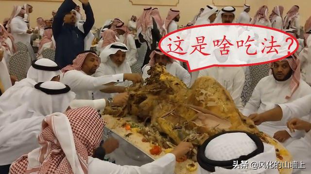 甘肃发现白化野骆驼:迪拜能吃骆驼，国内什么地方能吃骆驼