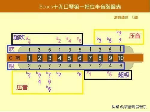 怎么给大山雀压音:十孔口琴多孔含法能压音吗？为什么？