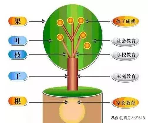 孩子不愿意亲生父母-被拐孩子不愿意回亲生父母家